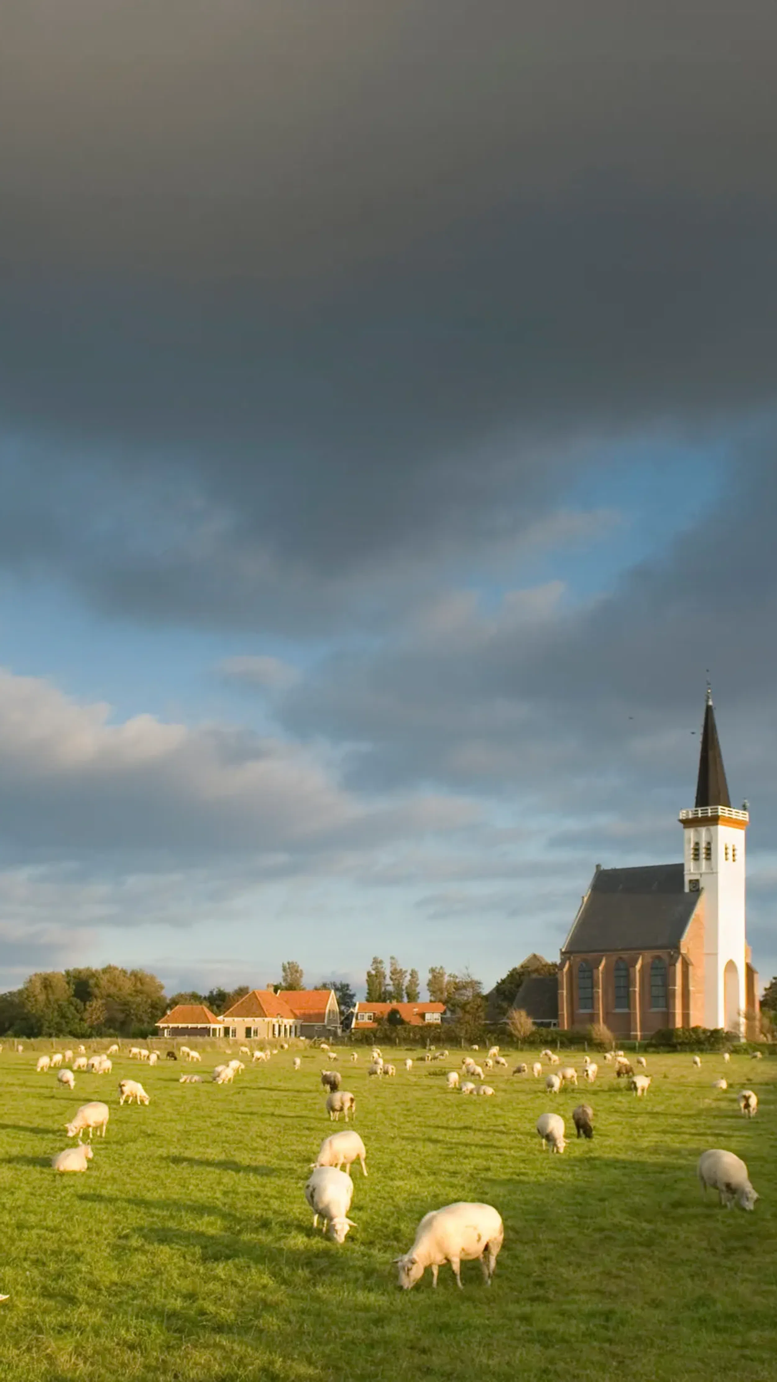 Gedicht Lentelucht Rabo Co Rabo Co gedicht-lentelucht-rabo-co-rabo-co